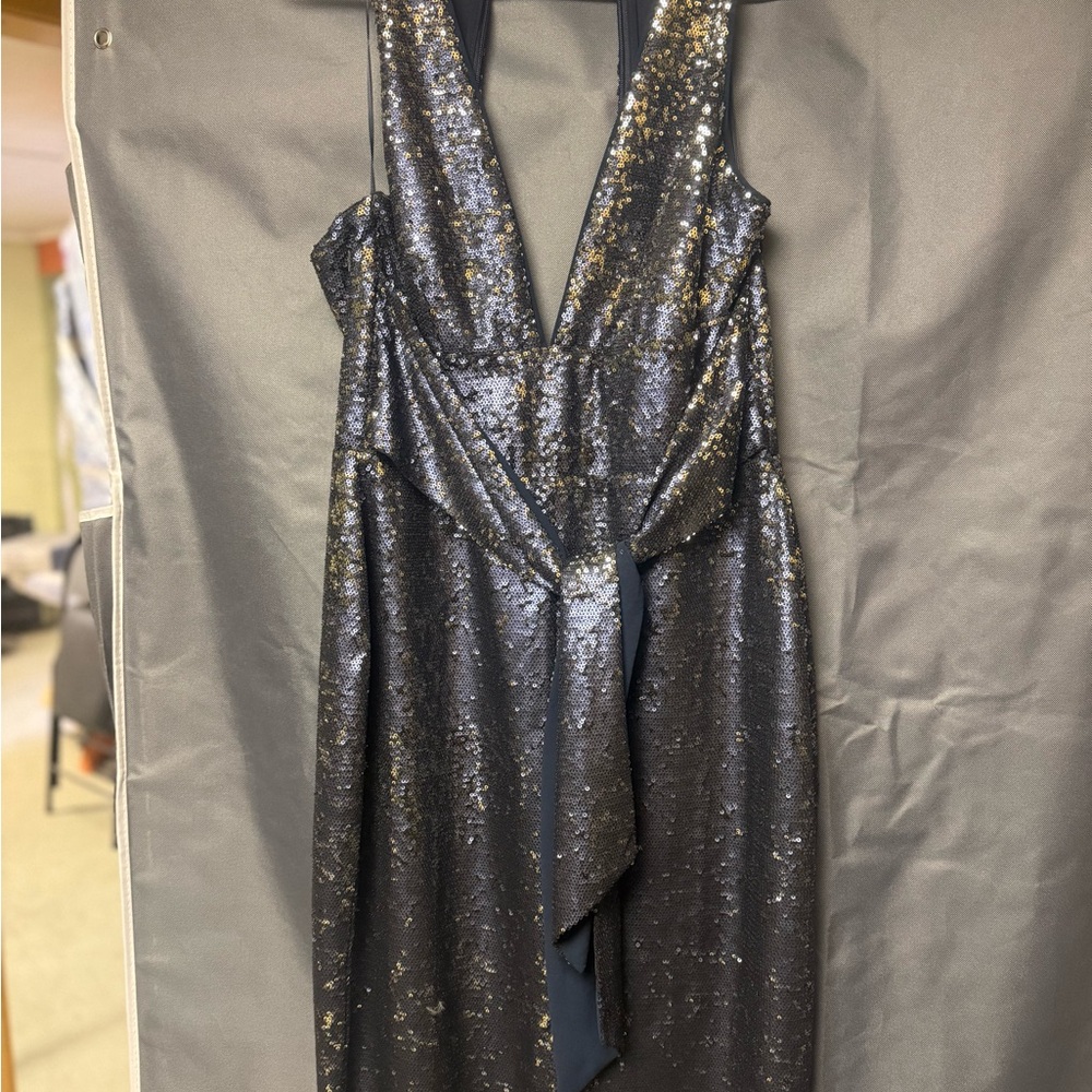 Blue  Sequin Dress